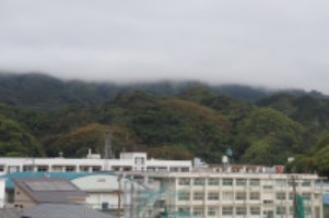 IMG_8601