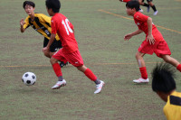 Image_20251109_154058_635