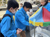 Image_20260308_132826_508